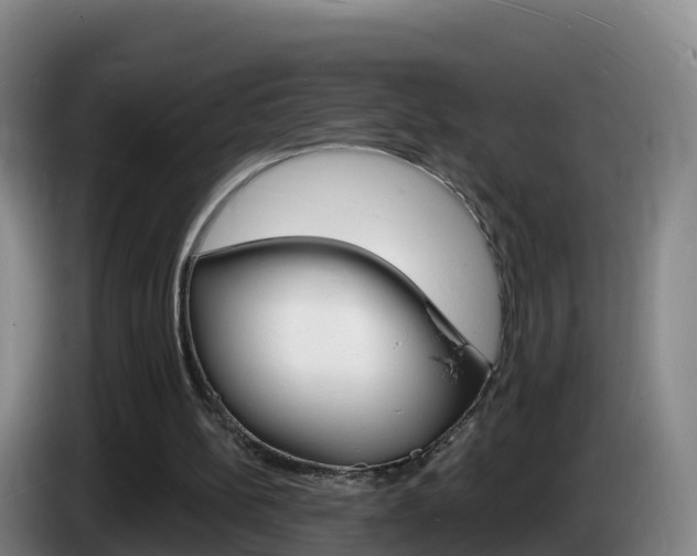 X0000085280148200703090943