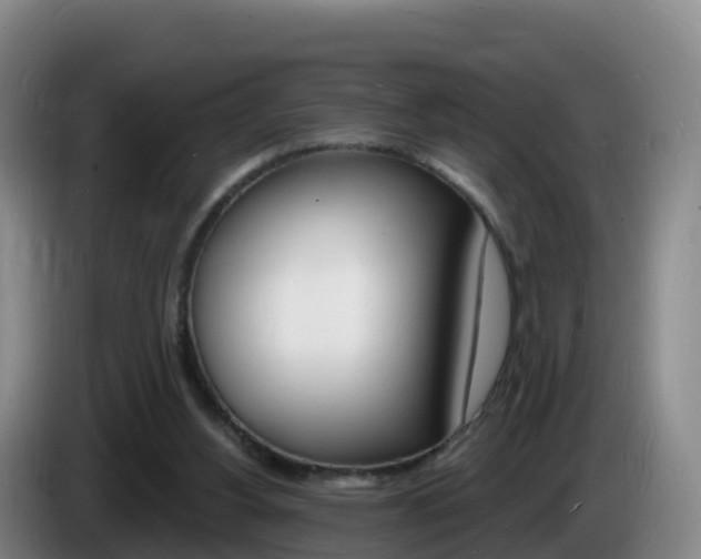 X0000085280156200703090943