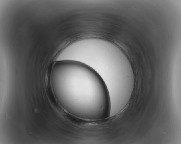 X0000085280158200703090943