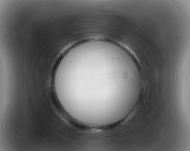 X0000085280159200703090943