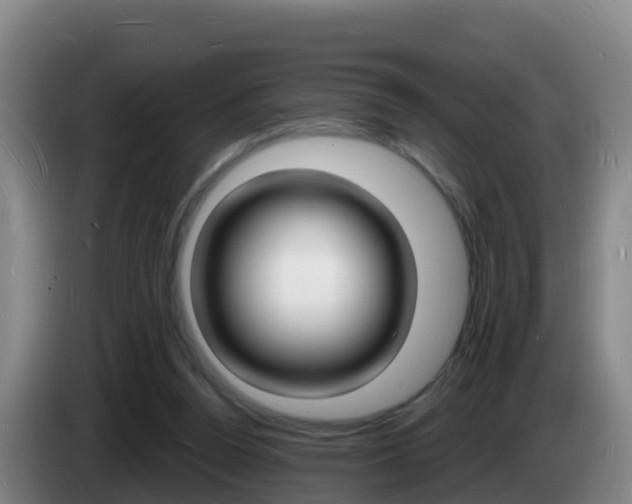 X0000085280160200703090943