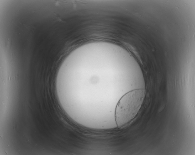 X0000085280162200703090943