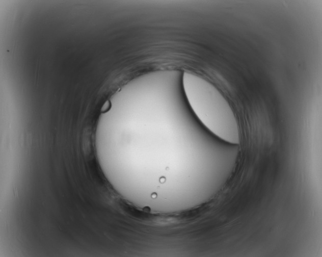 X0000085280169200703090944