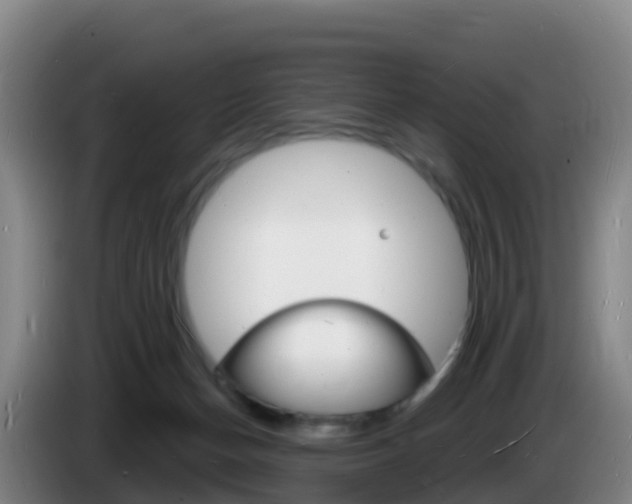 X0000085280174200703090944