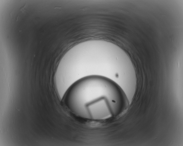 X0000085280180200703090944
