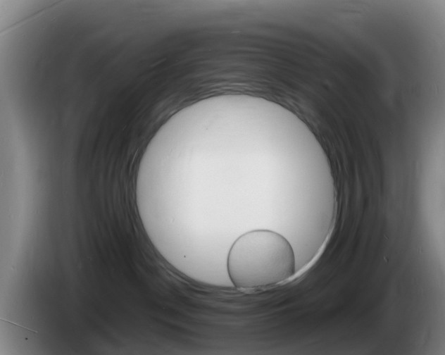 X0000085280190200703090944