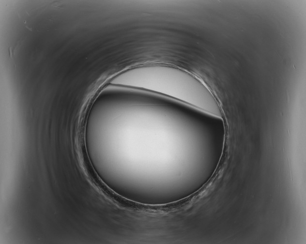 X0000085280193200703090943
