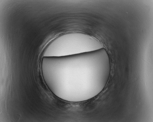 X0000085280194200703090943