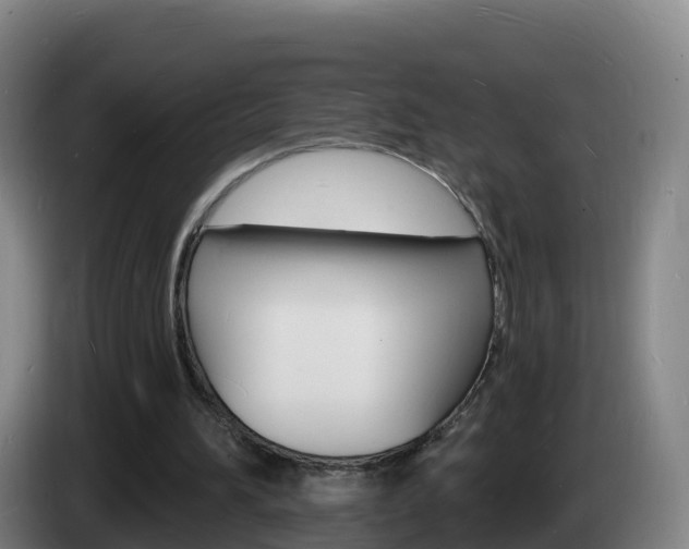X0000085280196200703090943