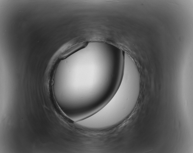 X0000085280197200703090943