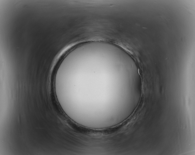 X0000085280200200703090943