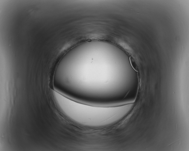 X0000085280201200703090943
