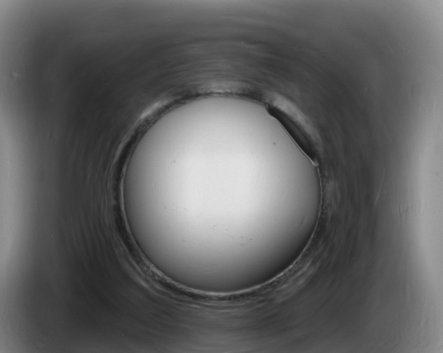 X0000085280203200703090943