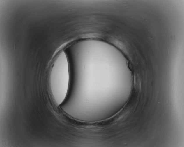 X0000085280204200703090943