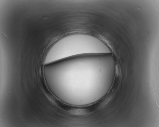 X0000085280205200703090943