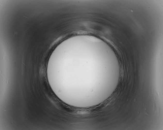 X0000085280208200703090943