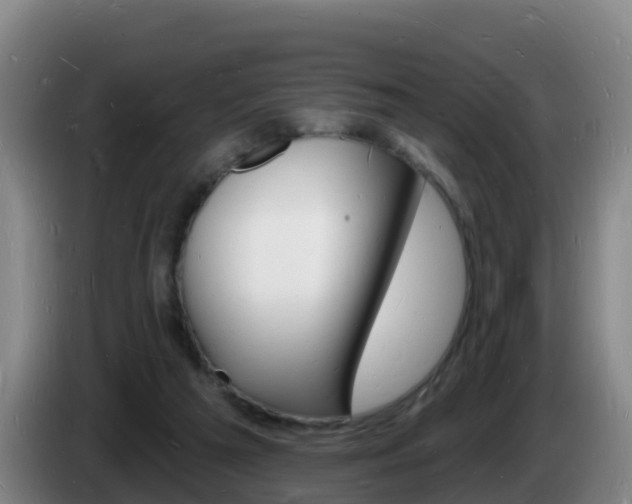 X0000085280209200703090943