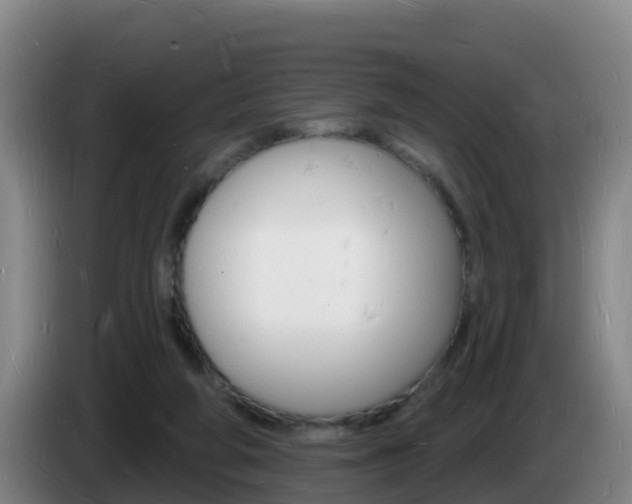 X0000085280210200703090943