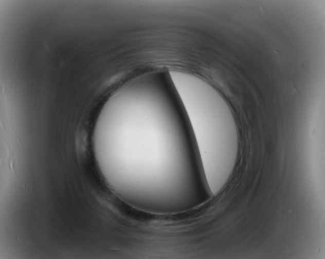 X0000085280211200703090943