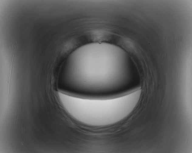 X0000085280219200703090943