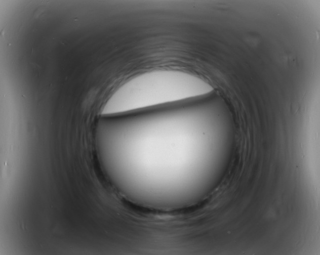 X0000085280224200703090943