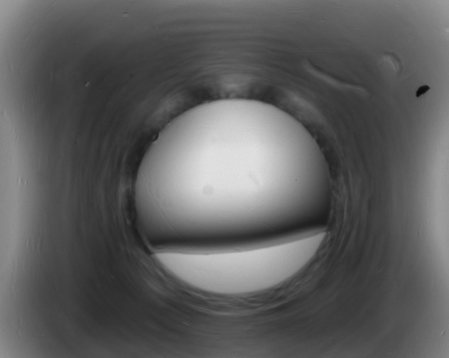 X0000085280225200703090943