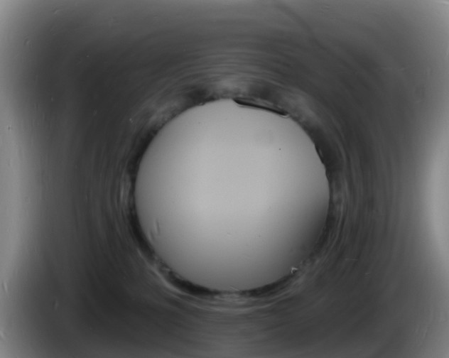 X0000085280231200703090943