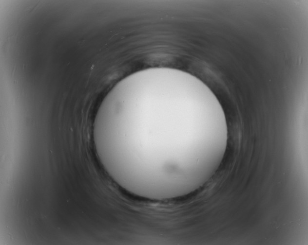 X0000085280232200703090943