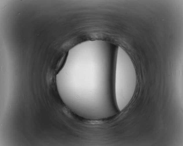 X0000085280233200703090943