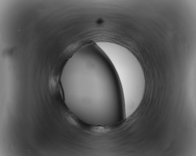 X0000085280239200703090943