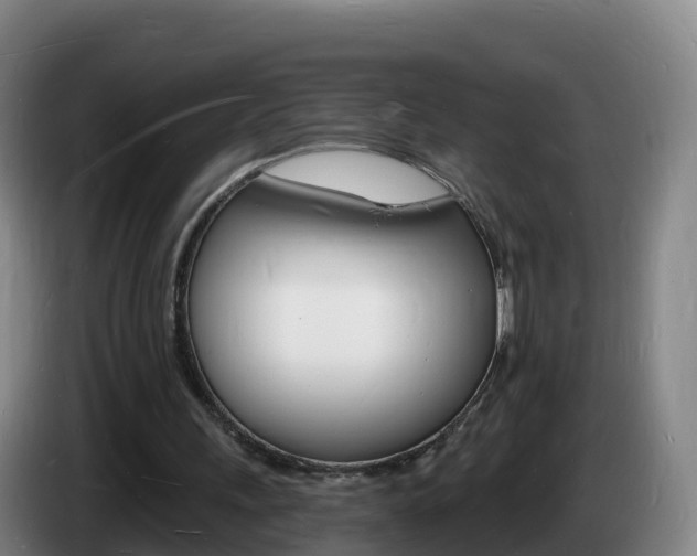 X0000085280243200703090942