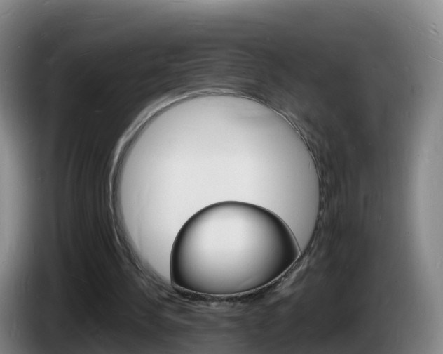 X0000085280244200703090942