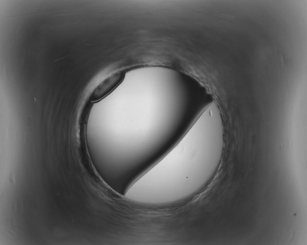 X0000085280246200703090942