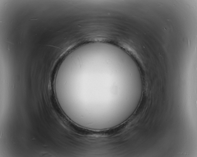 X0000085280251200703090942