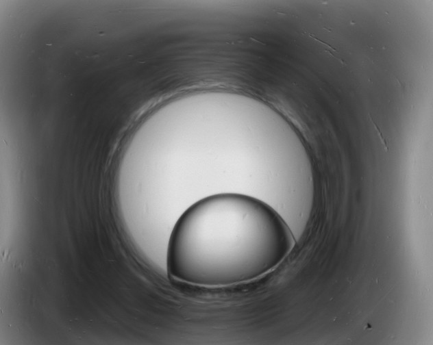 X0000085280252200703090942