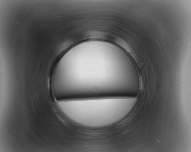 X0000085280253200703090942