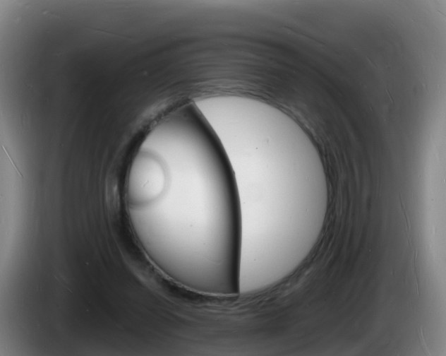 X0000085280254200703090942