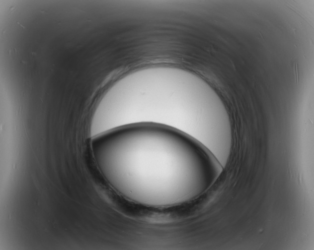 X0000085280256200703090942
