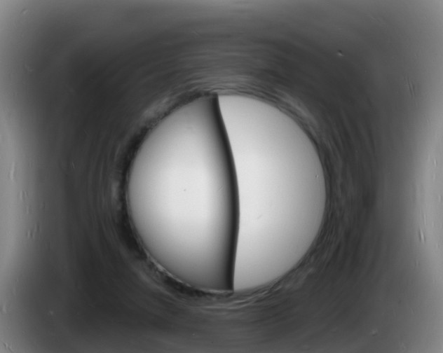 X0000085280258200703090942