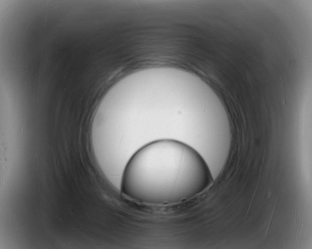 X0000085280264200703090942
