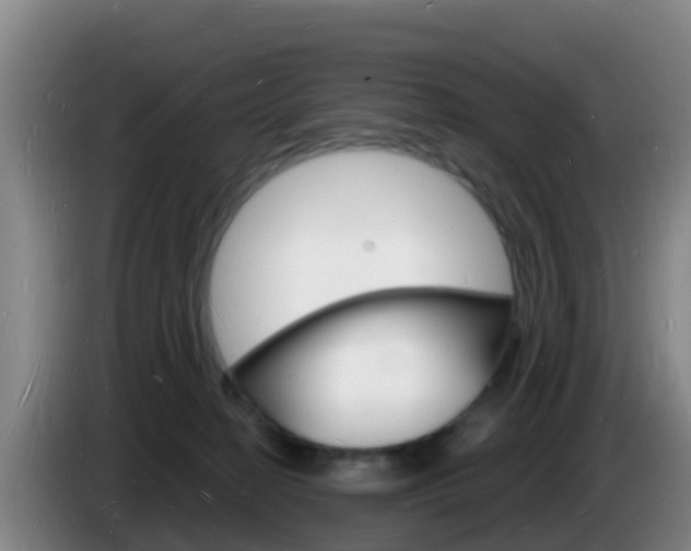 X0000085280274200703090942