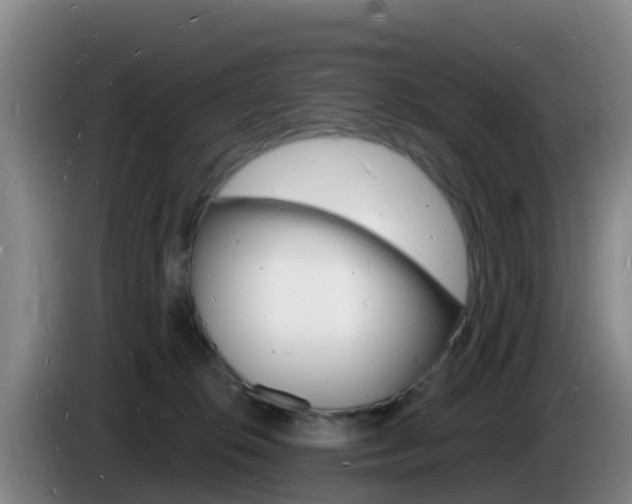 X0000085280276200703090942