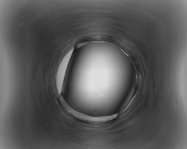 X0000085280279200703090942