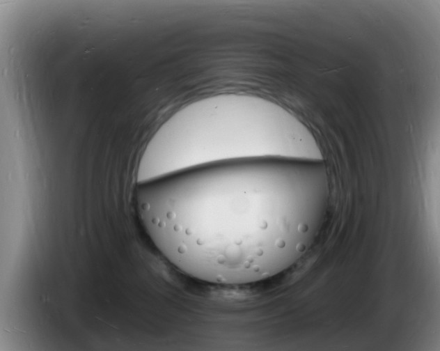 X0000085280282200703090942