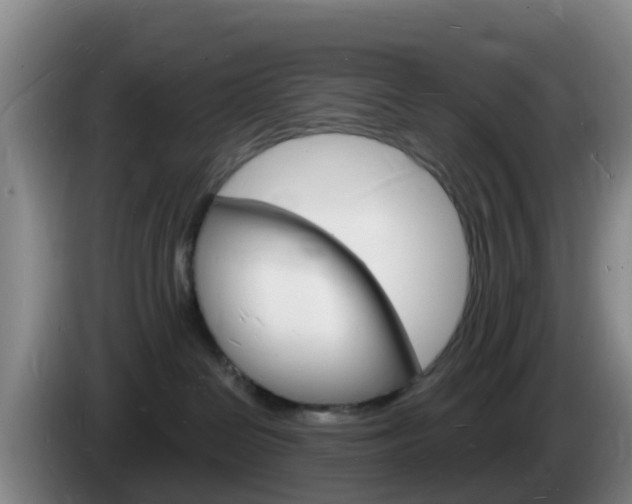 X0000085280286200703090942