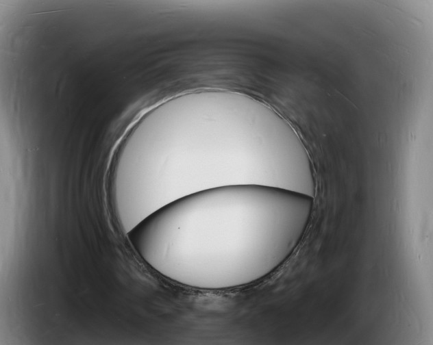 X0000085280290200703090942
