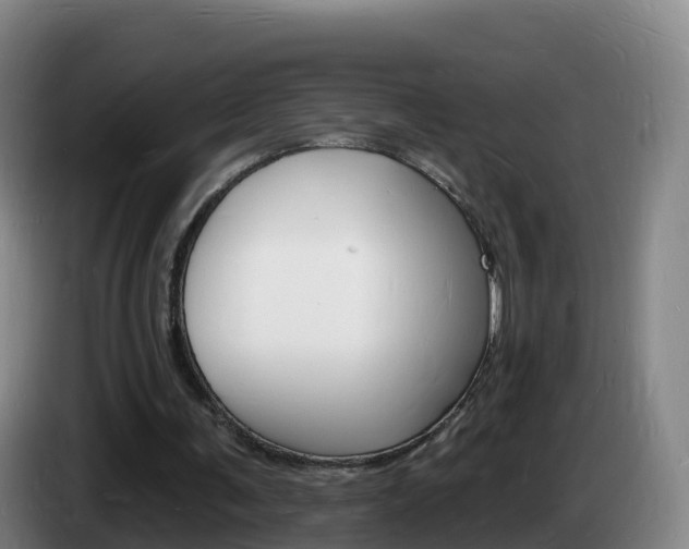X0000085280291200703090942