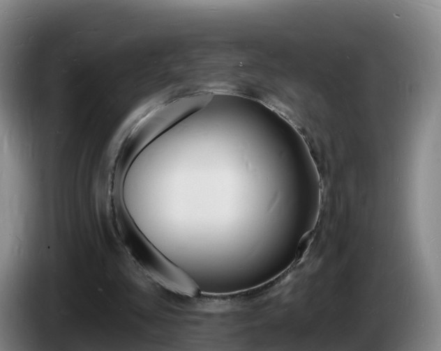 X0000085280293200703090942