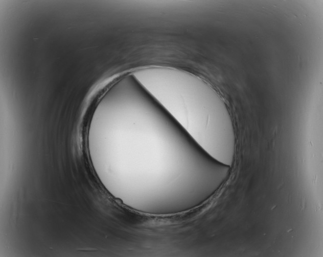 X0000085280294200703090942