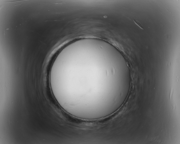 X0000085280295200703090942